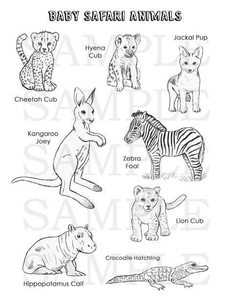 Baby Safari Animals Coloring Page Etsy