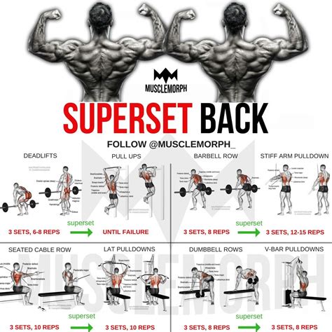 Idea By Rob Paul On Superset Workouts Back Workout Bodybuilding Back