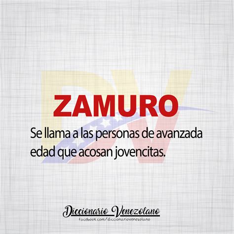 Conoces el verdadero significado de la palabra zamuro en Venezuela