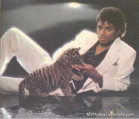 Michael And A Cute Little Tiger Michael Jackson Photo 27021645 Fanpop