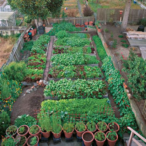 Check spelling or type a new query. A Mini-Farm in San Francisco - FineGardening