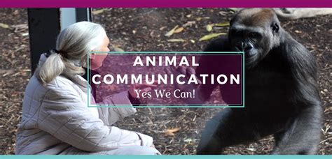 Animal Communication Yes We Can Jill Hughes