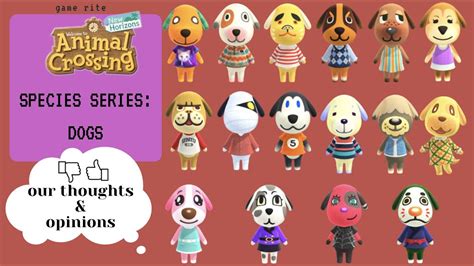 Animal Crossing New Horizons Species Series Dogs Youtube