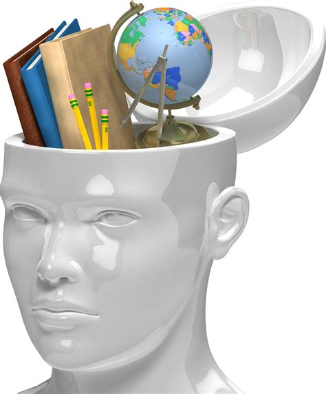 Knowledge Brain Png File Png All Png All