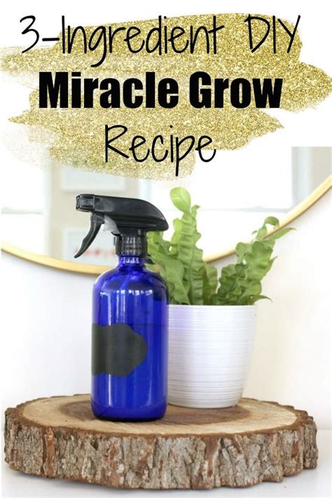 It's the easiest way to build a beautiful, bountiful garden to share your special moments in. Homemade Miracle Grow Recipe (With images) | Miracle grow ...