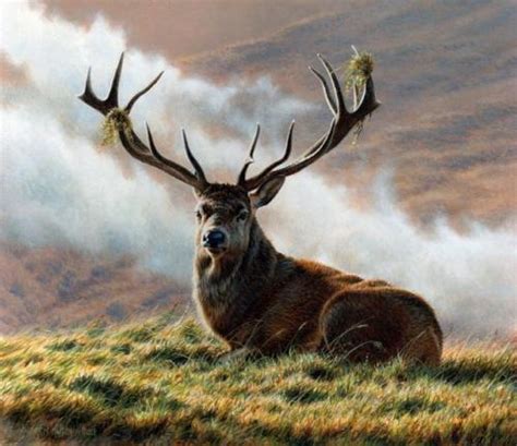 Painting By British Wildlife Artist And Naturalist Andrew Hutchinson