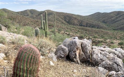 Wickenburg Lithium Project Patriot Lithium