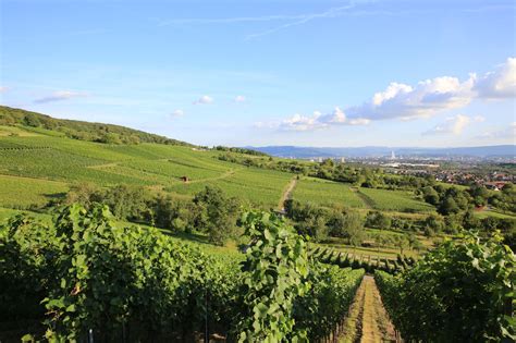 Cdu und afd halten von solchen labels wenig. Startseite | Weil am Rhein | Weil am Rhein