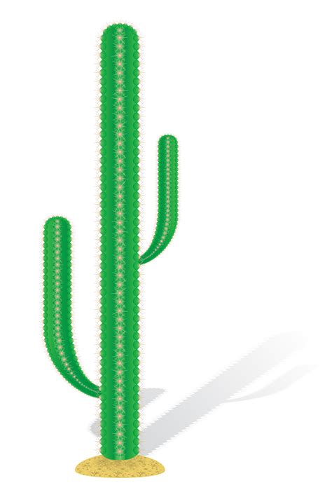 Cactus Vector Illustration 490879 Vector Art At Vecteezy