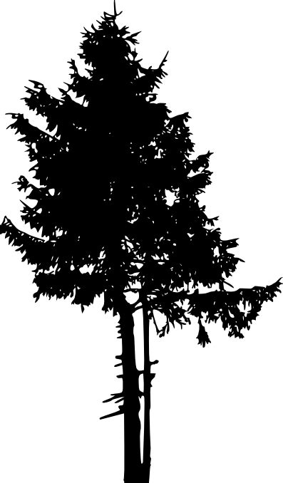 Download now for free this family tree silhouette transparent png image with no background. 30 Pine Tree Silhouette (PNG Transparent) Vol. 2 | OnlyGFX.com