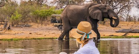 Botswana Safaris Explore An Independent Adventure Falcon Safaris