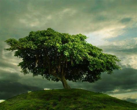 Green Images One Tree Hill D Hd Wallpaper And Background