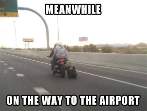 On The Way To The Airport Funny Pictures Laugh Funny Photos