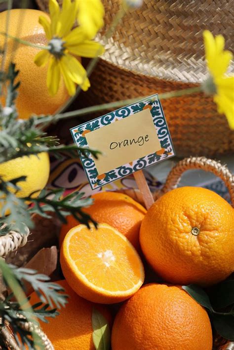 5 Benefits Of Oranges For Your Skincare Routine In Summersabon
