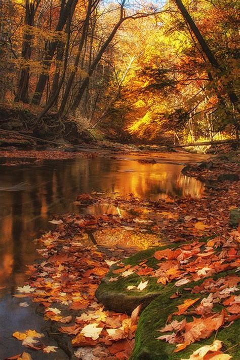 60 Breathtaking Fall Pictures The Photo Argus Autumn Photography