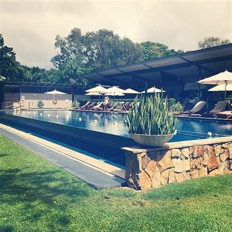 How to level backyard for above ground pool. Pool above ground level | Pool, Backyard entertaining, In ...