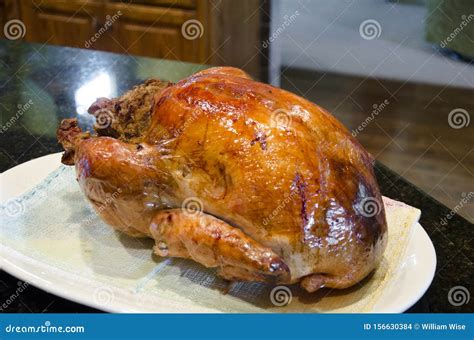 Cooked Thanksgiving Turkey Stock Photo Image Of Citizen 156630384