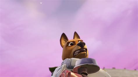 Pets In Fortnite Your Complete Guide Polygon