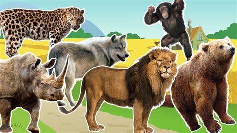 Farm Animals Zoo For Kids Wild Animals 2017 Name And