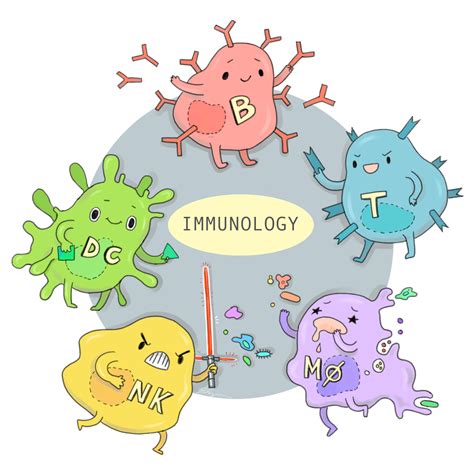 Additional information for chapter 4, page 60. Immune System | The Dish on Science --- Page 2