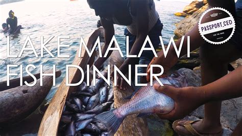Lake Malawi Nkhata Bay Malawi Hand Carved Boat Full Of Fish Youtube