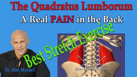 The Quadratus Lumborum A Real Pain In The Back Best Exercise Stretch