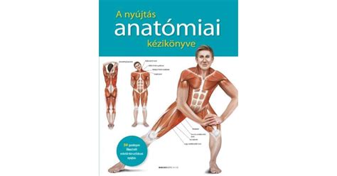 Prof Dr Ken Ashwell A Nyújtás Anatómiai Kézikönyve Pepitahu