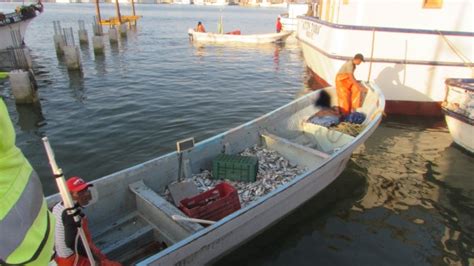 Menos Días De Pesca En Progreso Ruraltv
