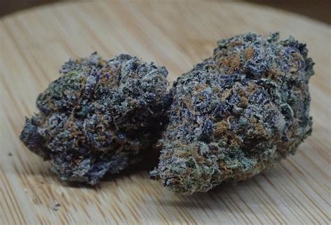 Gelato 41 Strains Cannabis Strains Information