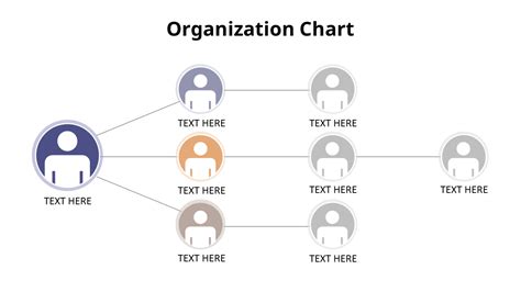 Organizational Chart Animation Presentationhierarchydiagram