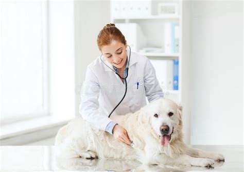 Me and my husband are very thankful for treating our boss (pet name) like their own pet. Happy Woman With Dog And Doctor At Vet Clinic Stock Photo ...