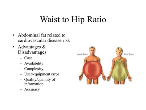 Ppt Body Composition Powerpoint Presentation Free Download Id768847