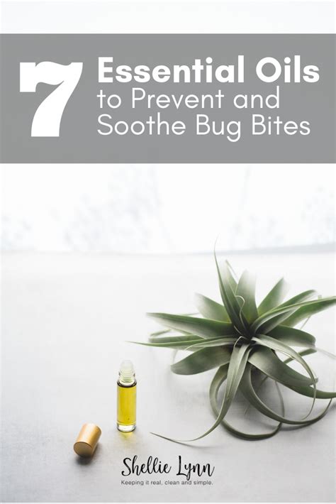 7 Essential Oils To Prevent And Soothe Bug Bites Essential Oils Diluting Essential Oils