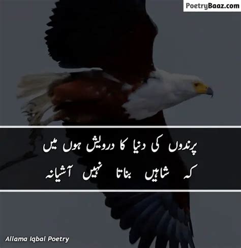 Best Allama Iqbal Poetry In Urdu Lines Poetrybaaz