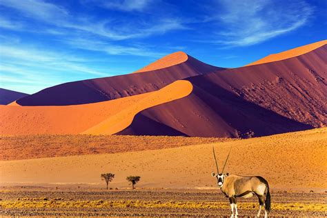 Namib Älteste Wüste Der Welt