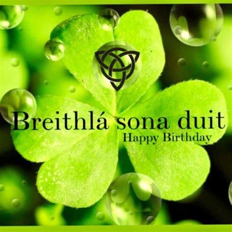 Irish Birthday Wishes In Gaelic Refreshingly Webcast Gallery Of Photos