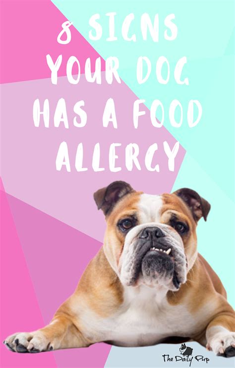 8 Signs Your Dog Has A Food Allergy What To Do About It Dog Food