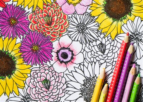 Blumen zeichnen lernen kann jeder, denn die vorgehensweise ist immer die gleiche: Blumen_zeichnen-einfach-Cover | Meine Svenja