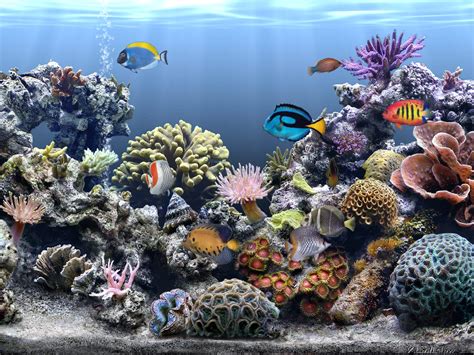aquarium - Page 2