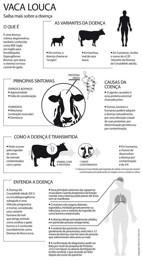 O Que é Doença Da Vaca Louca