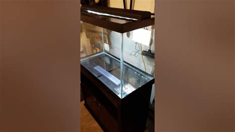 New Aqueon 65 Gallon Aquarium Youtube