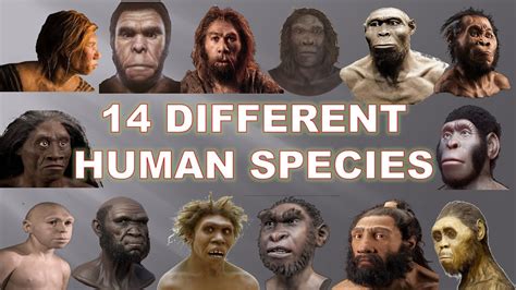 14 Human Species That Existed Before Us (2020) | Explained - YouTube