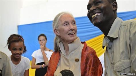 The uk government has already revoked china global television network's (cgtn). What in the world: Jane Goodall spars with China over ...