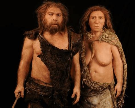 Missing Link The Complicated Sex Lives Of Ancient Humans Genetic
