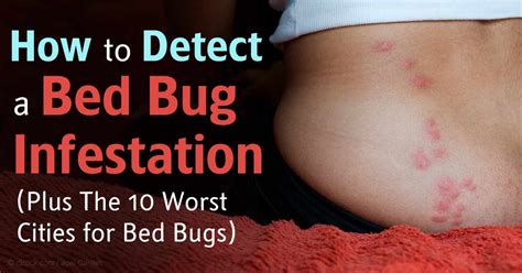 In beds and other furniture, behind baseboards, under wallpaper, or inside switch plates. Bed Bug Infestations Soaring in the US