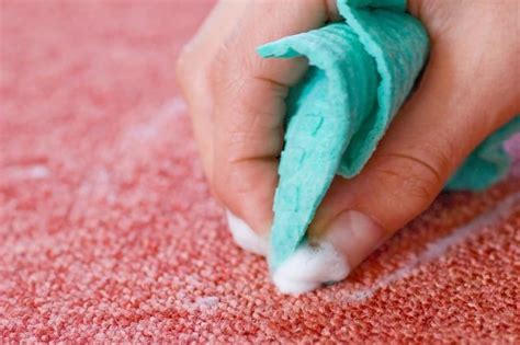 Repeat until the gum is gone. How to Get Gum Out of Carpet - 6 Easy Ways | Home Care Zen