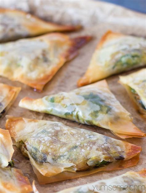 Try to prepare your filo dough recipe with eat smarter! Filo Dough Recipes Vegetarian | Besto Blog