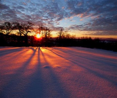 Introduction fast facts about winter solstice date of winter solstice why the chinese people celebrate winter solstice? Winter Solstice 2020: What is 'Hiemal Solstice' and why it ...