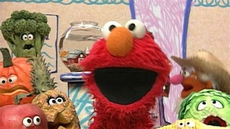 Sesame Street Elmos World Babies Dogs And More Where To Watch And