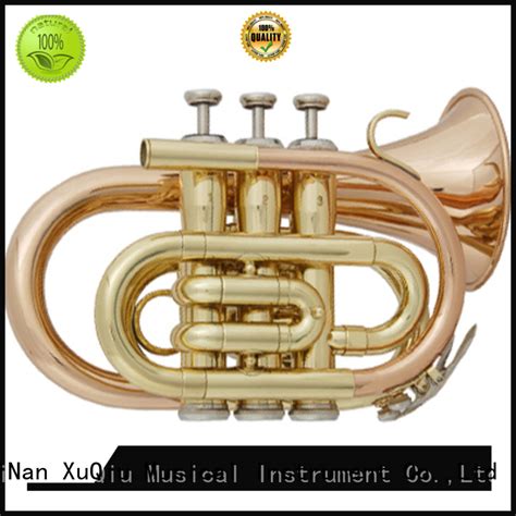 Check spelling or type a new query. cool best trumpet brands manufacturer for beginner | XuQiu